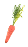 にんじん