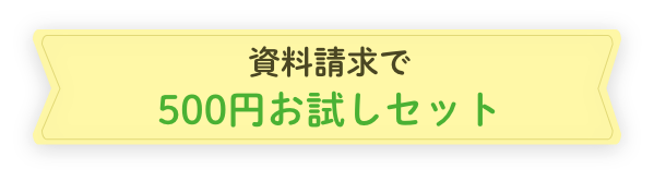 資料請求で500円お試しセット