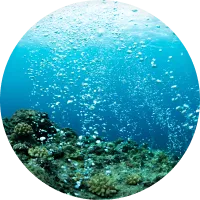 美しい海